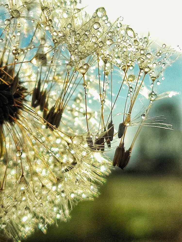 Photograph by Алина