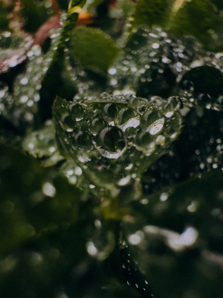 Photograph by Алиса Нежинская