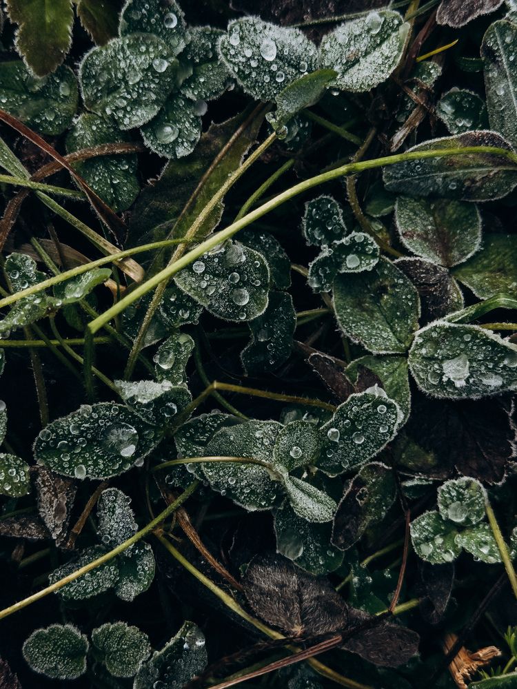 Photograph by Алиса Нежинская