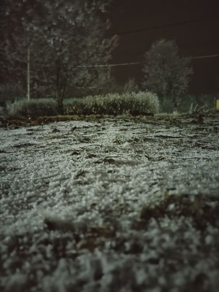 Photograph by Татьяна Краева