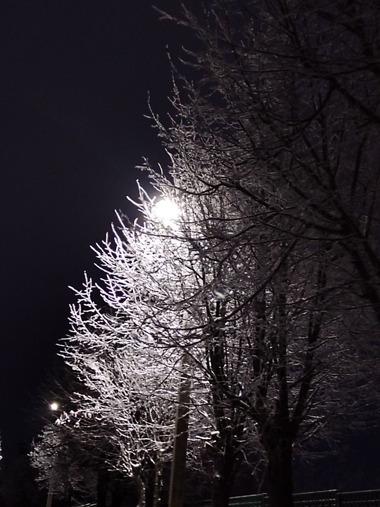 Photograph by Татьяна Краева