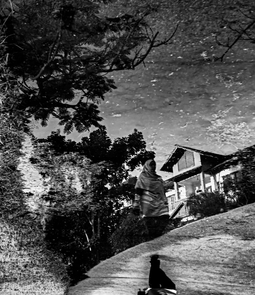 Mirror of Serenity