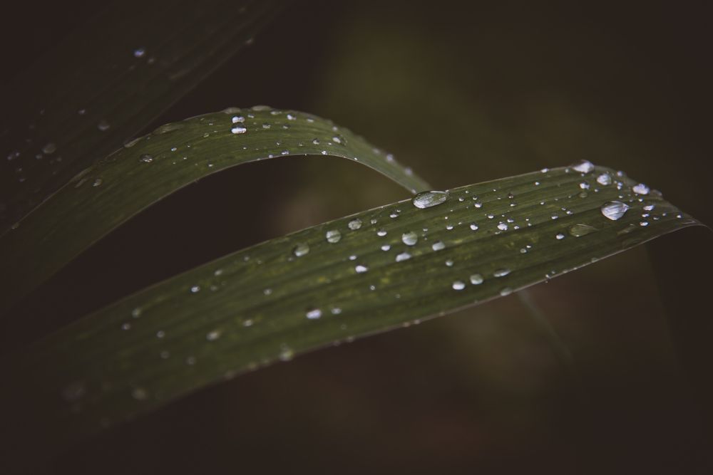 Фотография автора Войнов Дмитрий