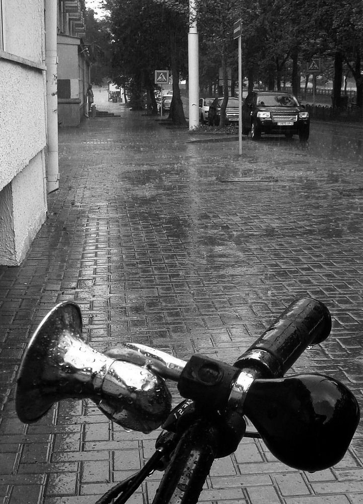 Photograph by Александр Зарх