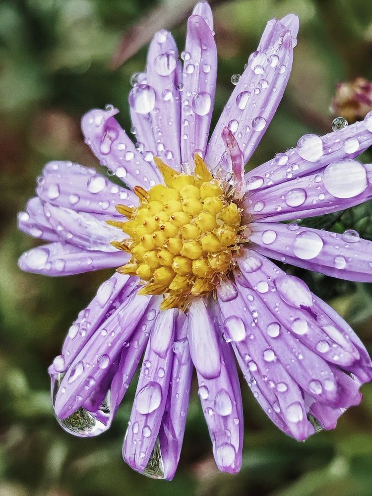 Photograph by Nastassia Krychautsova