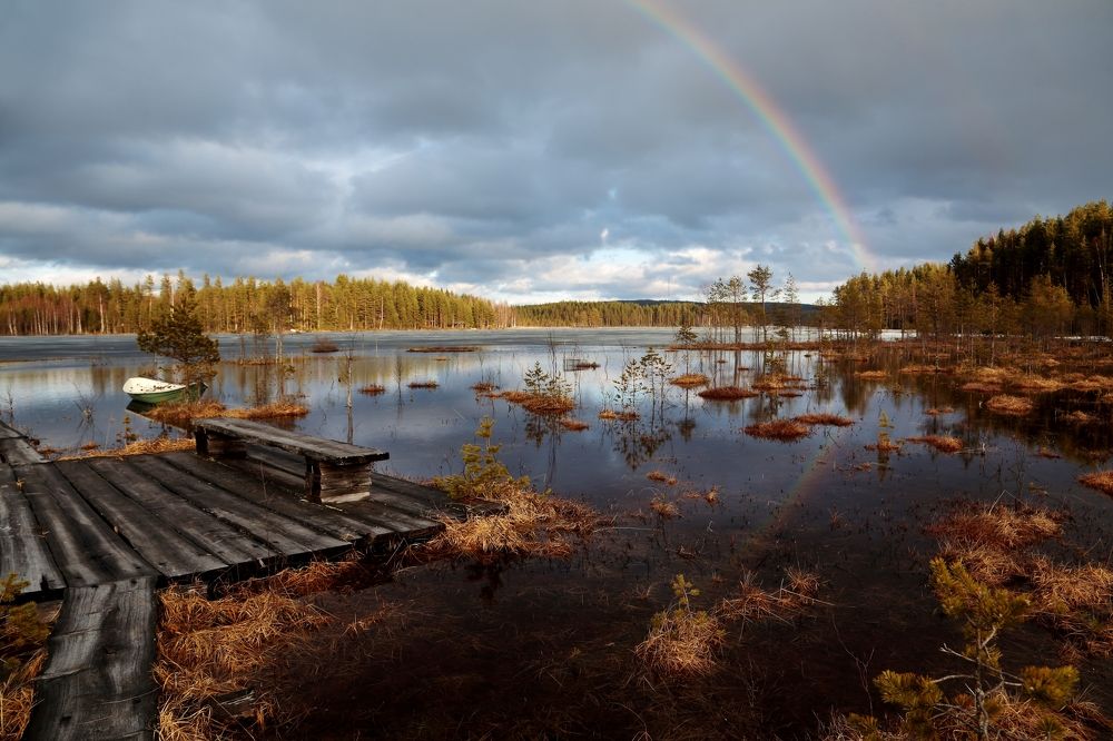 Photograph by Николай Раппу