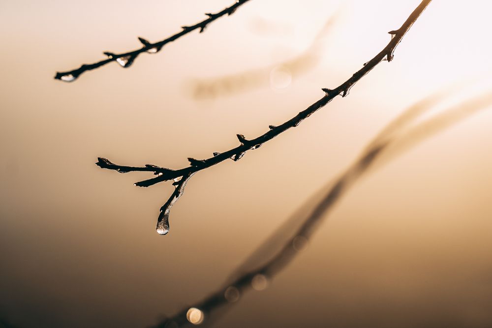 Photograph by Анастасия Оллилайнен