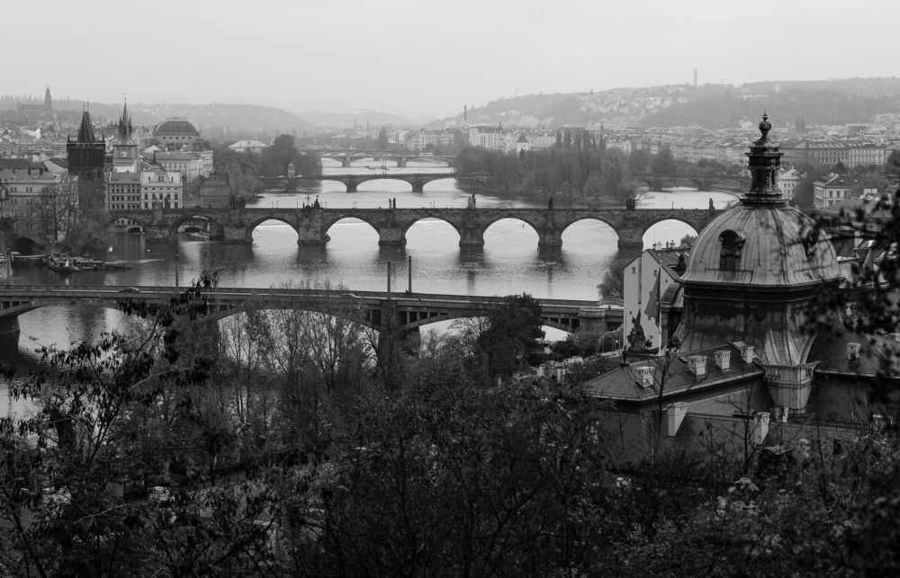 Photograph by Luis Francisco Bravo Olazabal