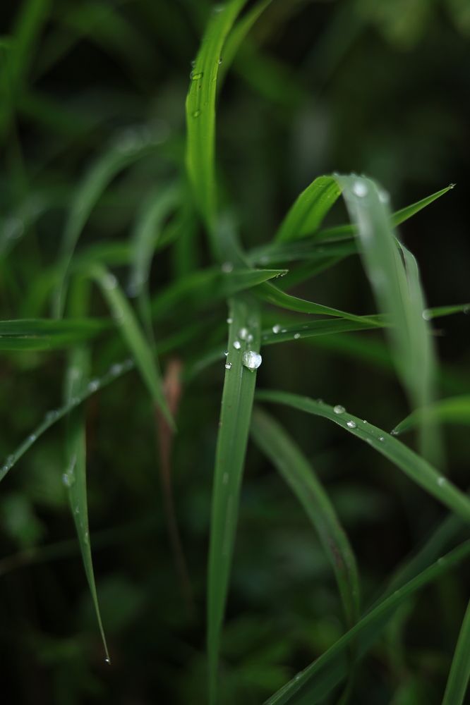 Photograph by Наталья Малышева