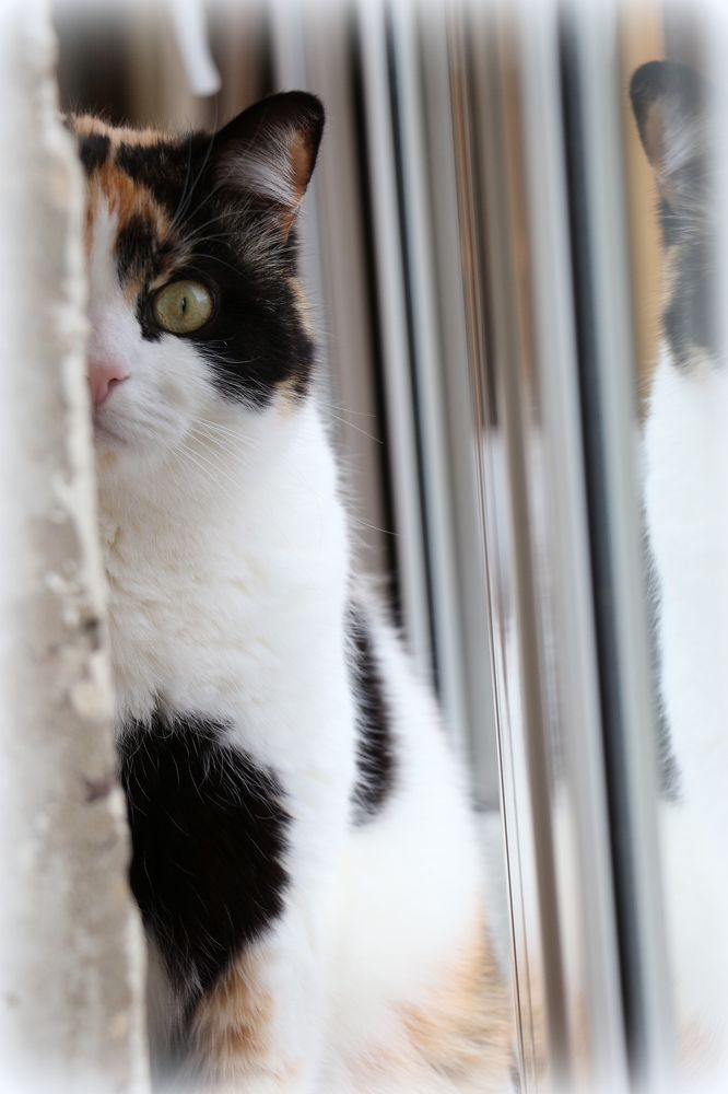 Photograph by Анастасия Бородина