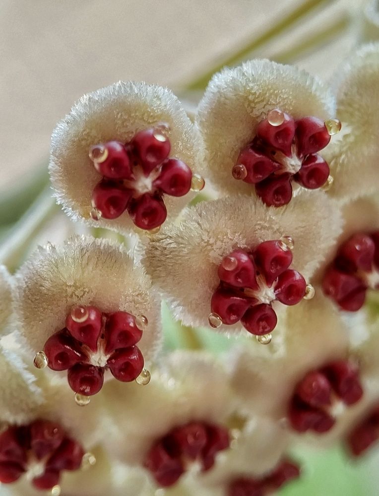 Photograph by Оксана Лоншакова