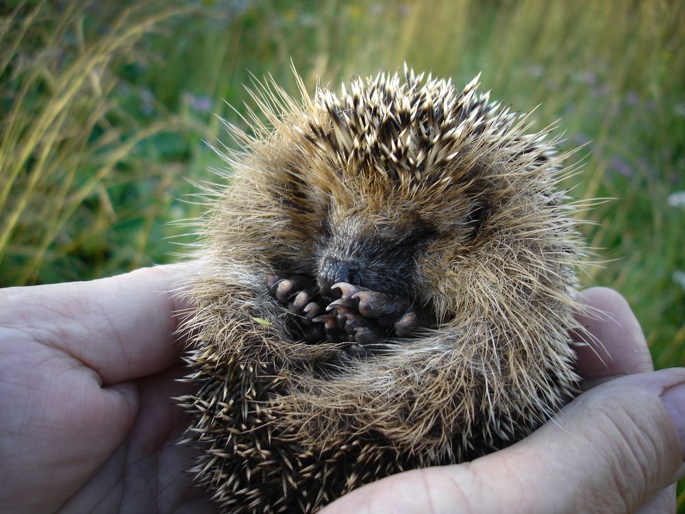 Photograph by Олег Филиппов