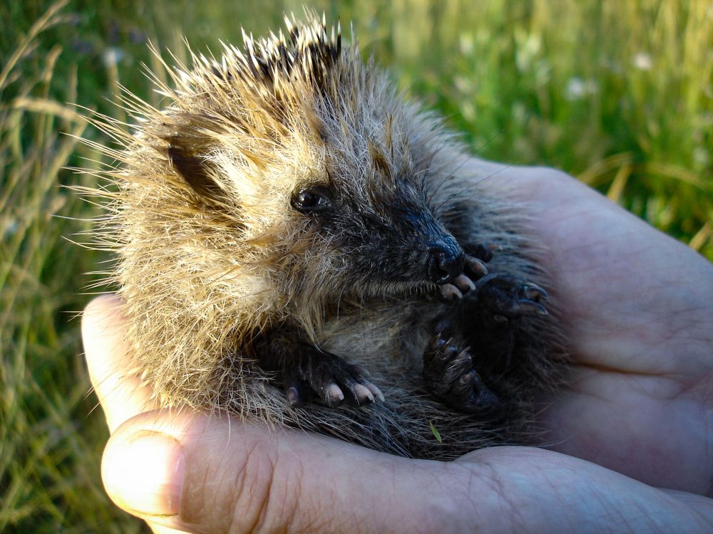 Photograph by Олег Филиппов