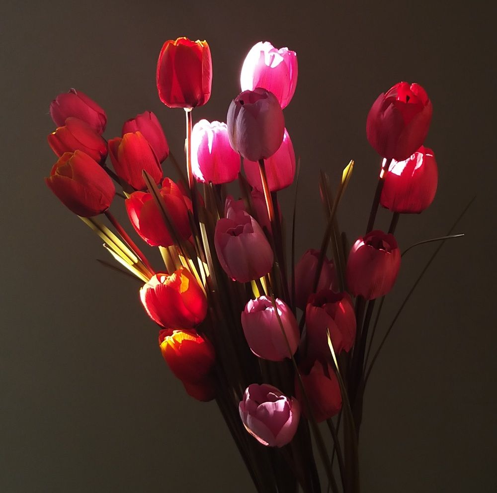 Фотография автора Anahita Ghelichkhani