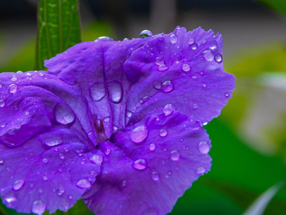 Photograph by Mauricio Santiago Boulogne