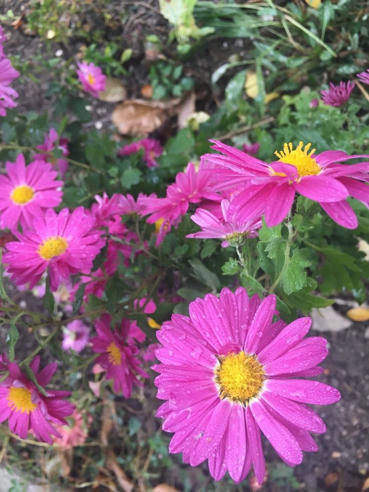 Photograph by Ангелина Марушко