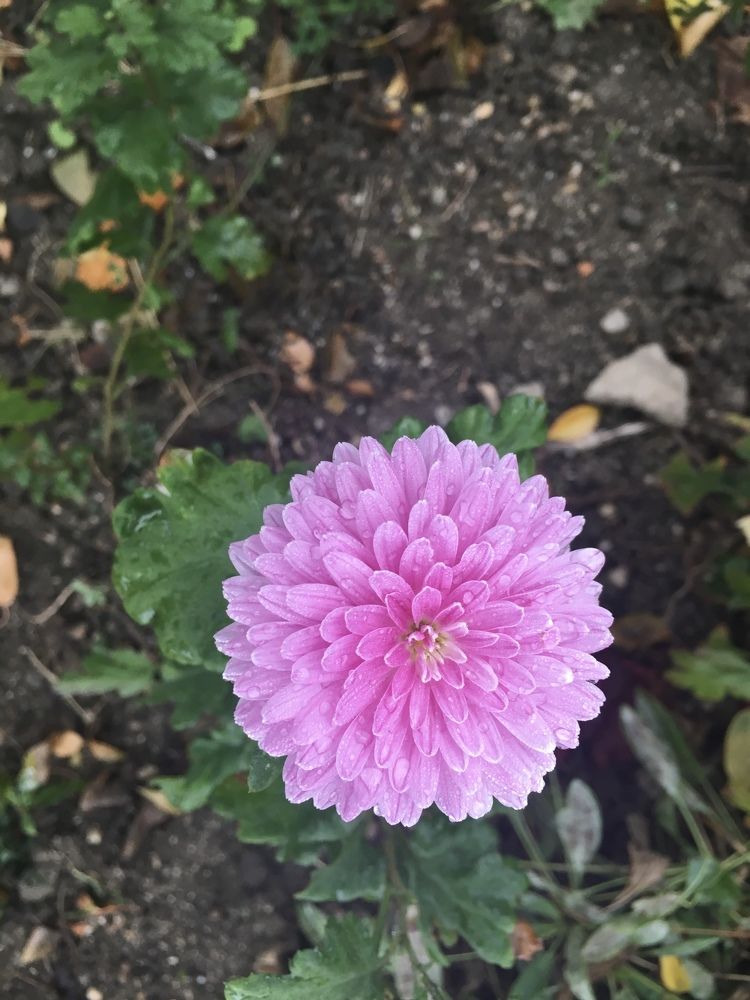 Photograph by Ангелина Марушко