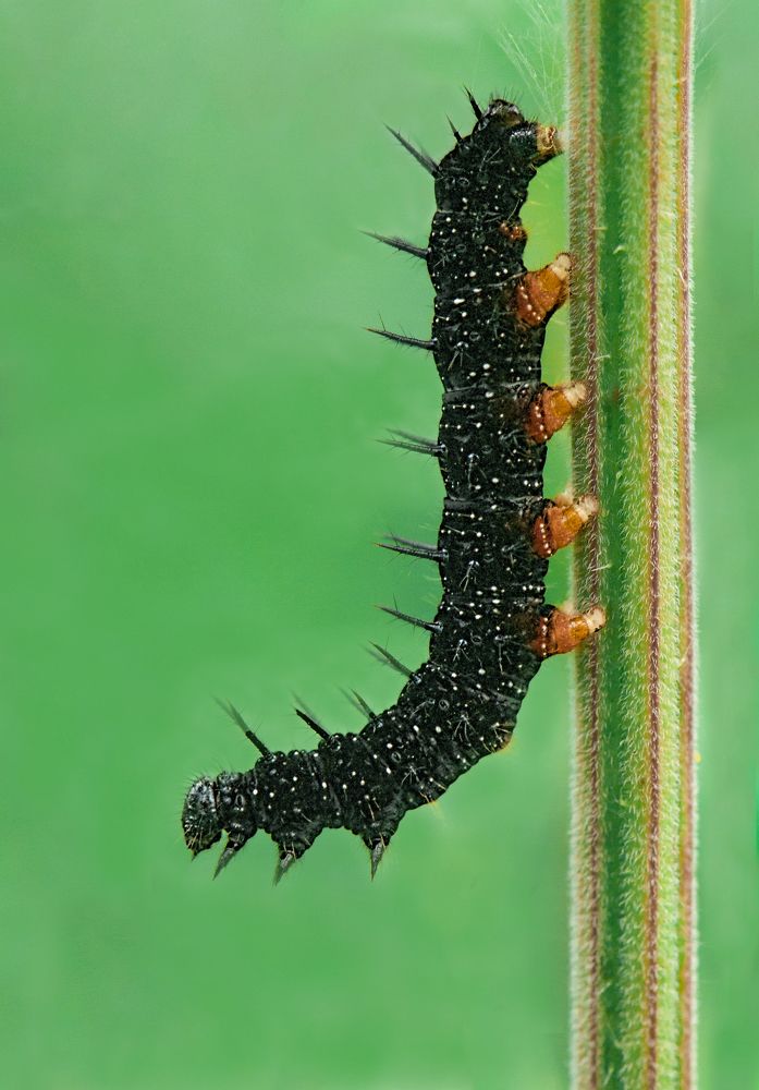 Photograph by Олег Тыркин