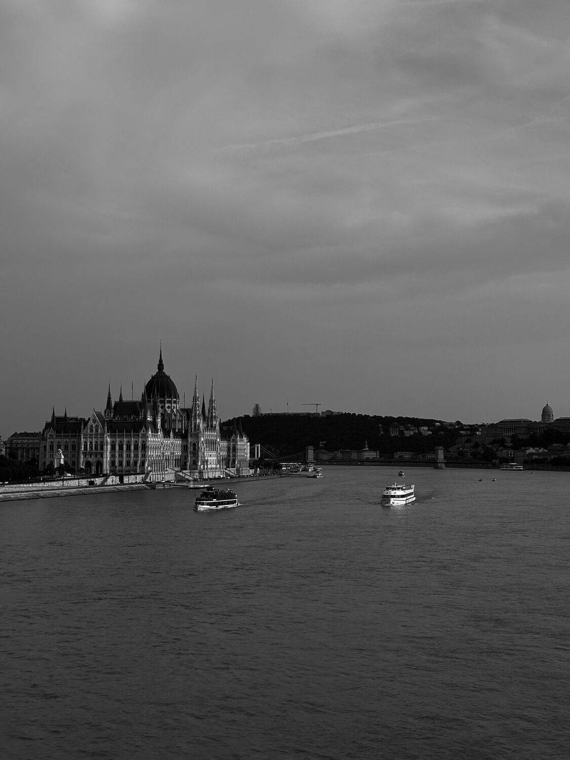 Photo #11475672