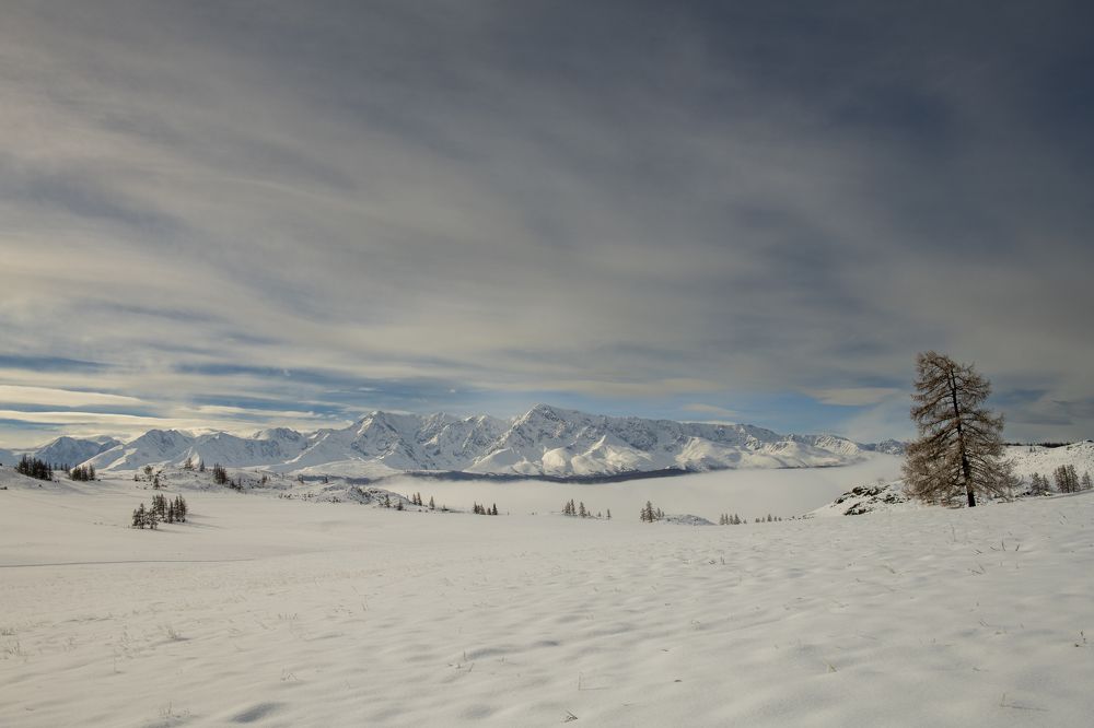 Photograph by Сергей Шерстнев