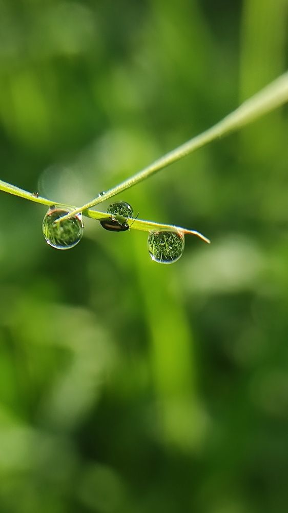 Photograph by Виолетта Клюева