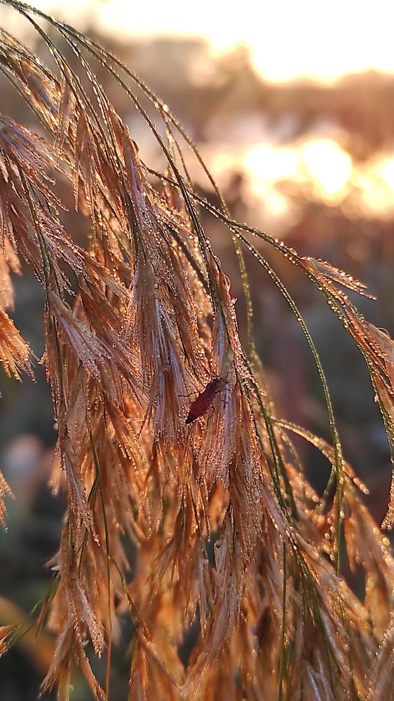 Photograph by Виолетта Клюева