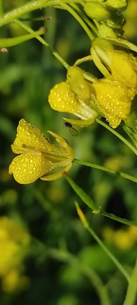 Photograph by Виолетта Клюева