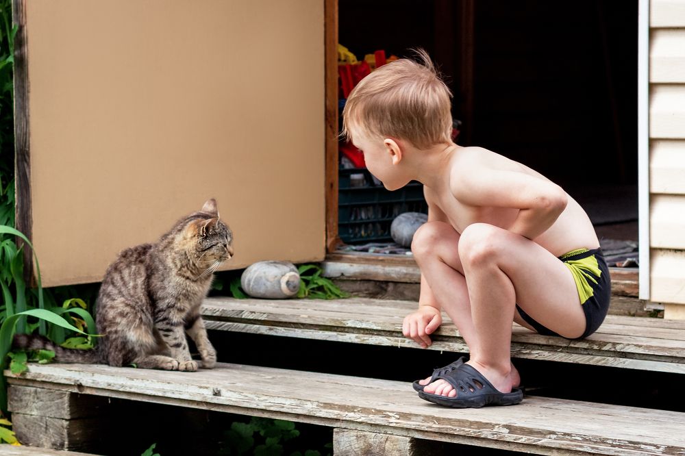 Photograph by Оксана Пучкова