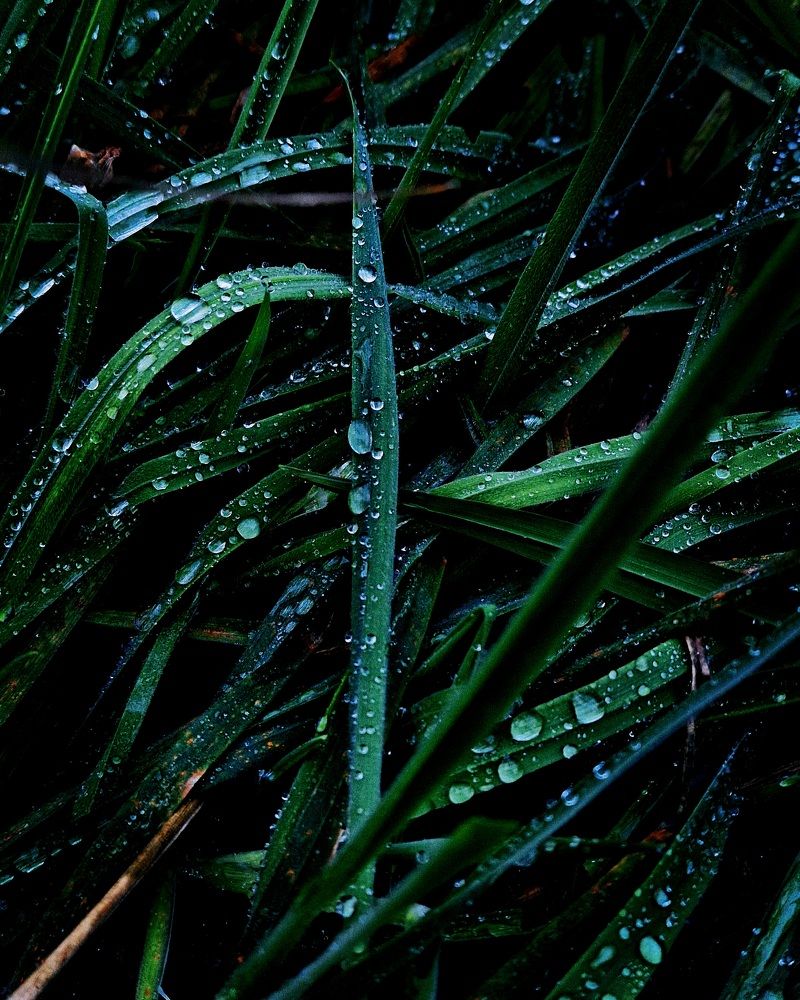 Фотография автора Maryna Pytliak