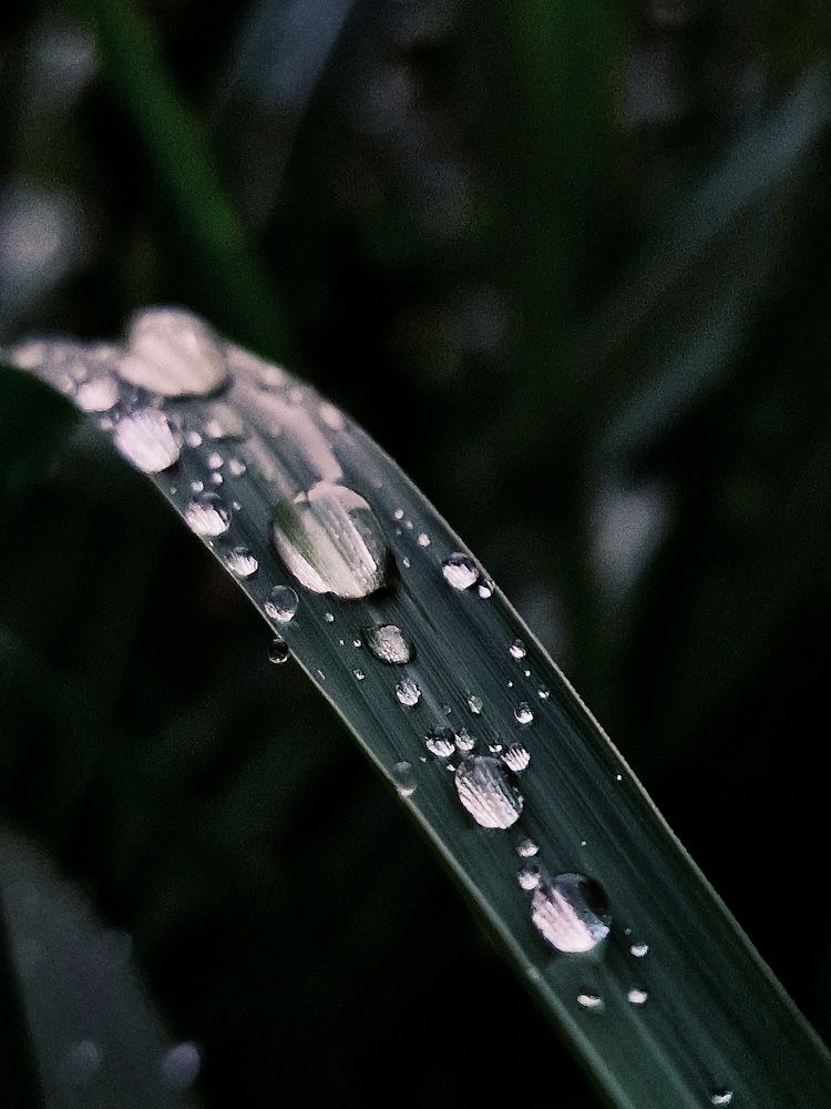 Фотография автора Maryna Pytliak