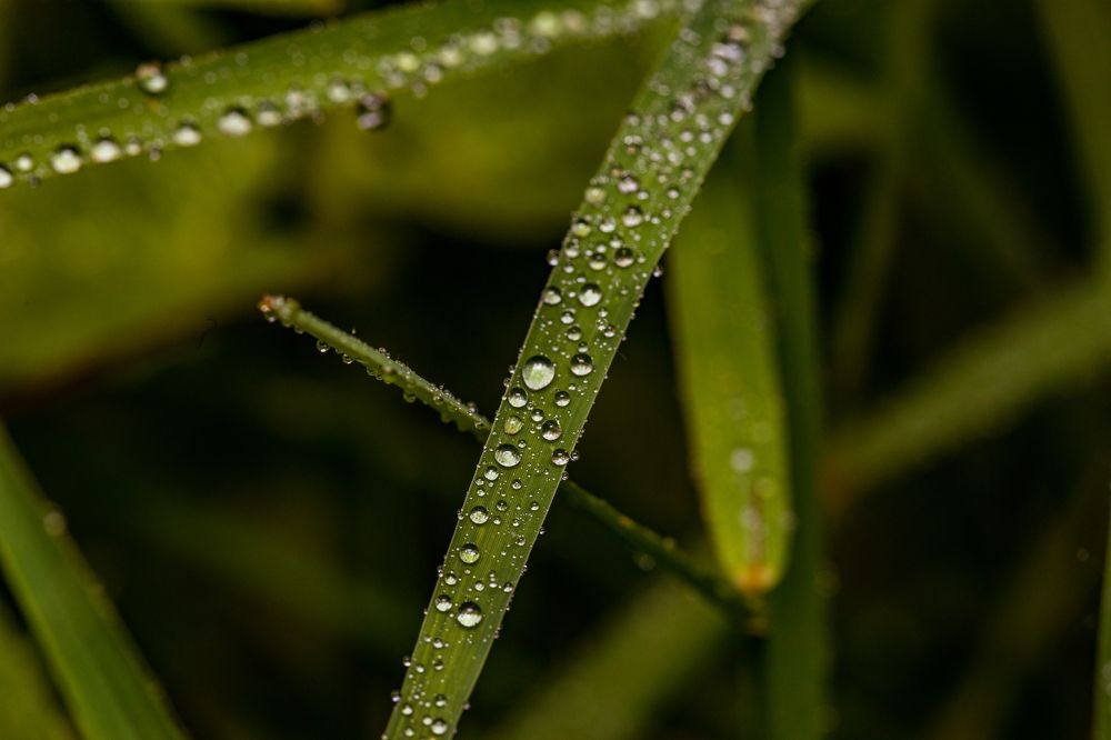 Photograph by Trivet Antony