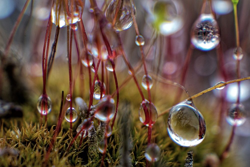 Фотография автора Екатерина Першина