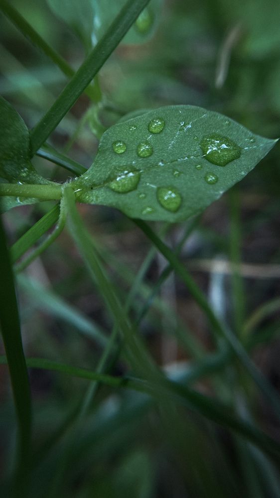 Photograph by Dina Din