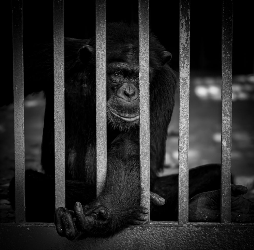 Reflejo de una vida perdida