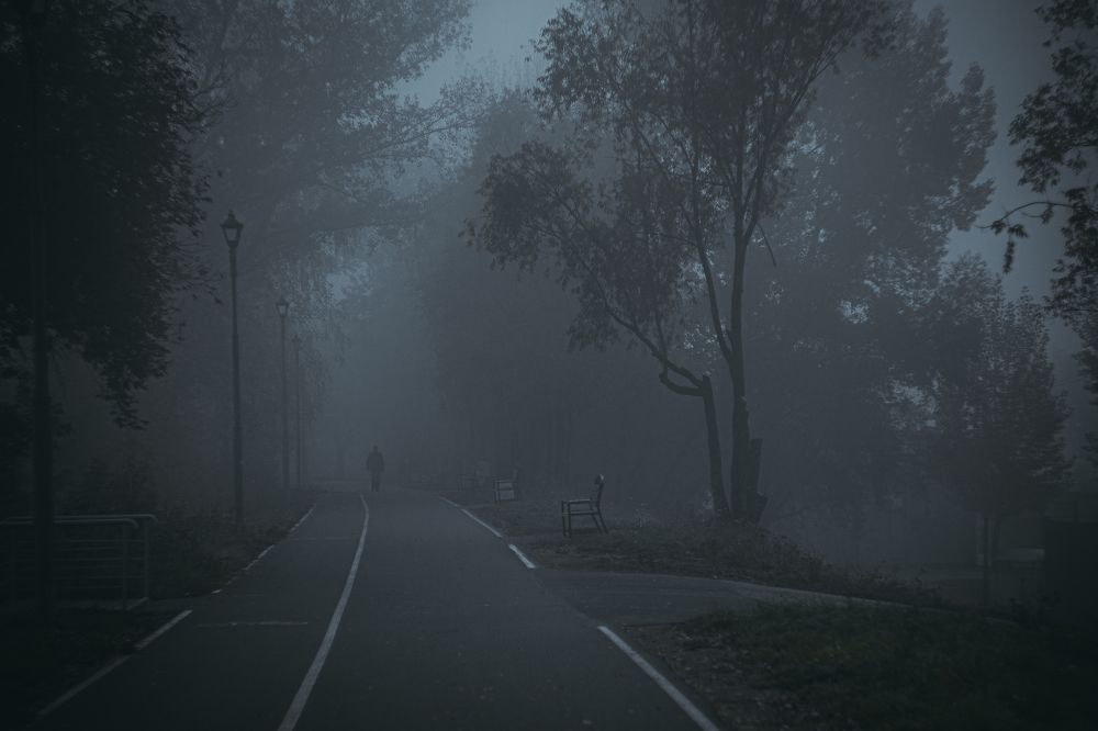 Photograph by Игорь Голубев