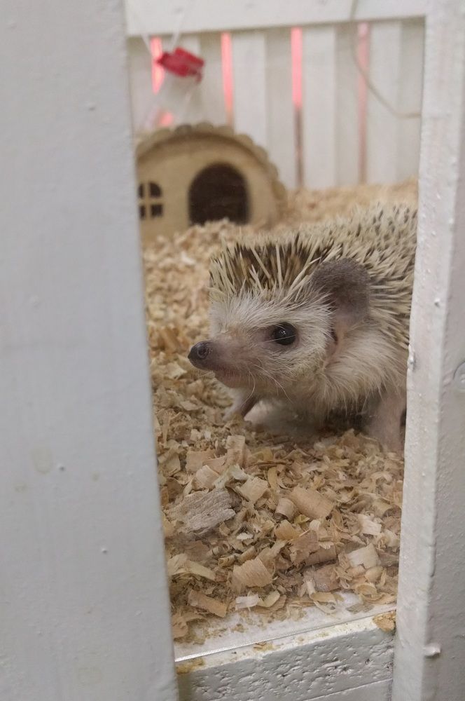 Photograph by Lilit Petrosyan