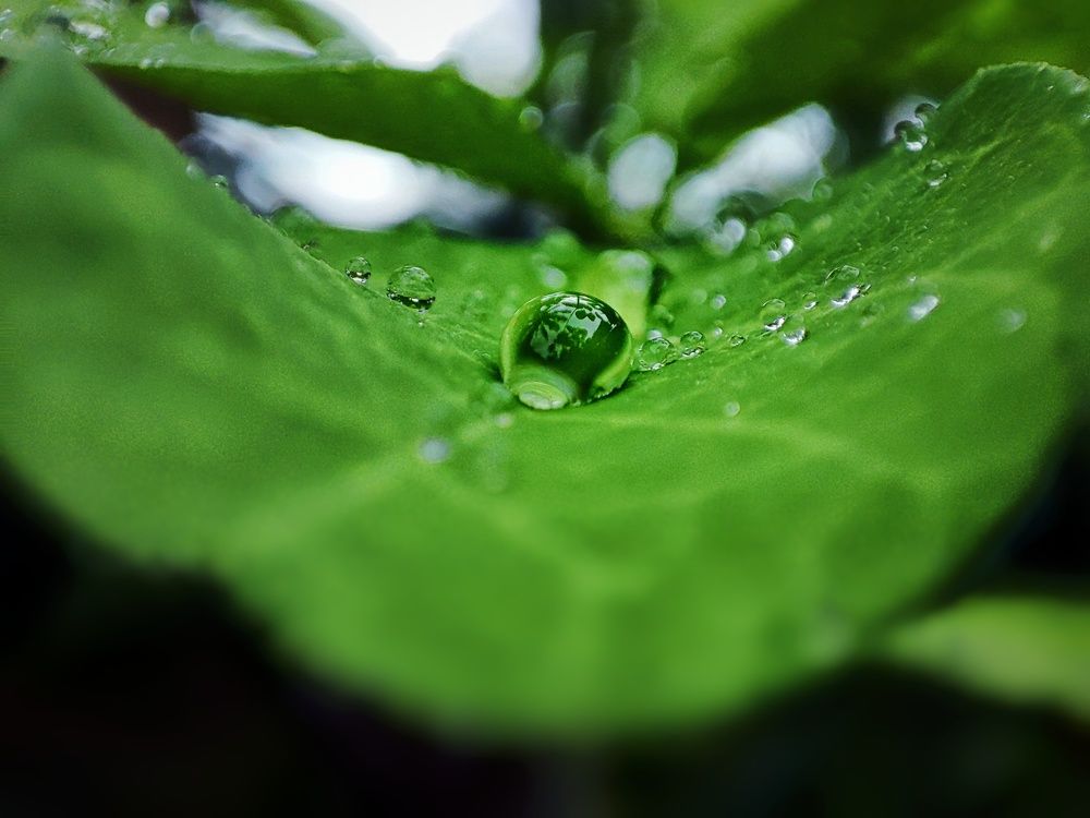 Photograph by Buddhika Dinuranga