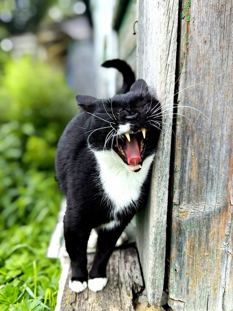 Photograph by Анастасия Доронкина