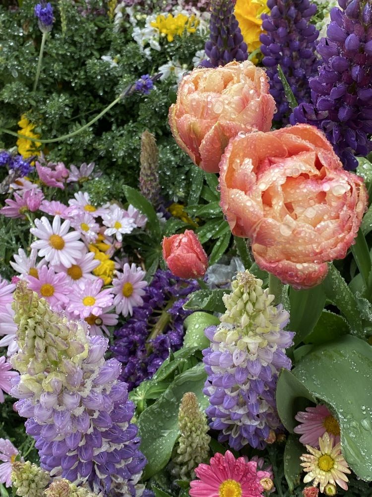 Фотография автора Ирина Бакалова