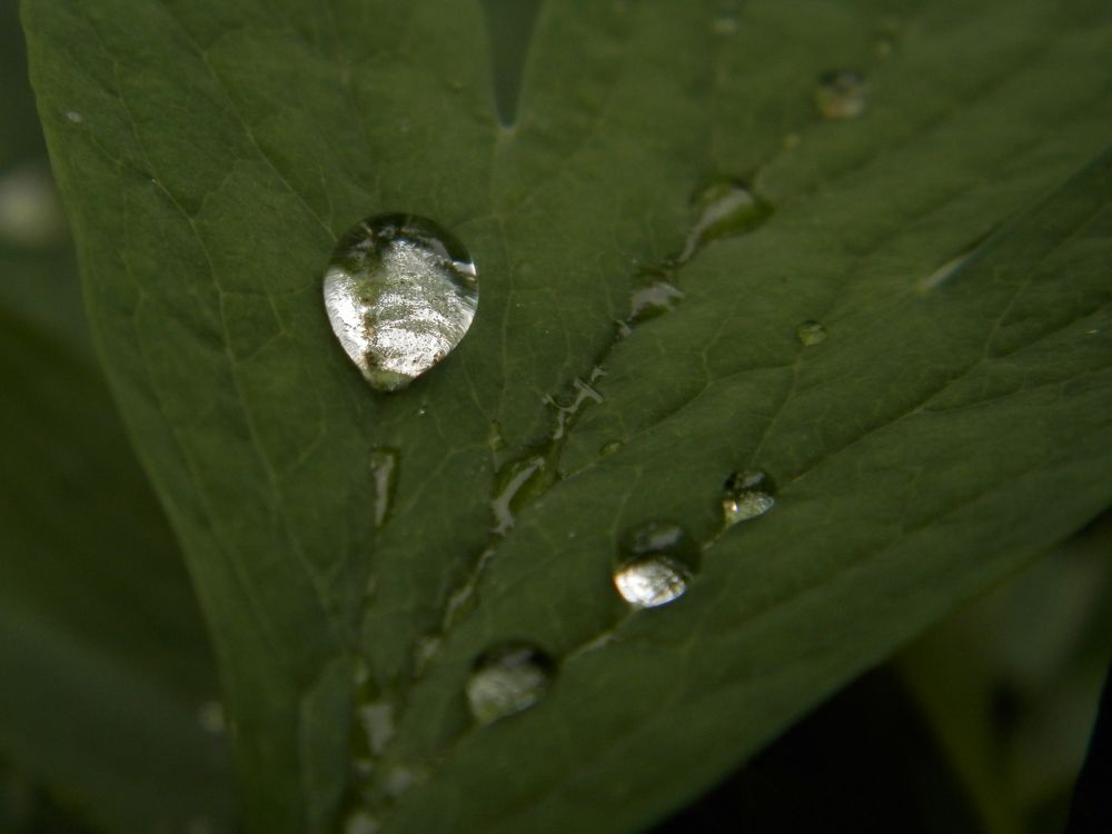 Photograph by Виктор Сёмушкин