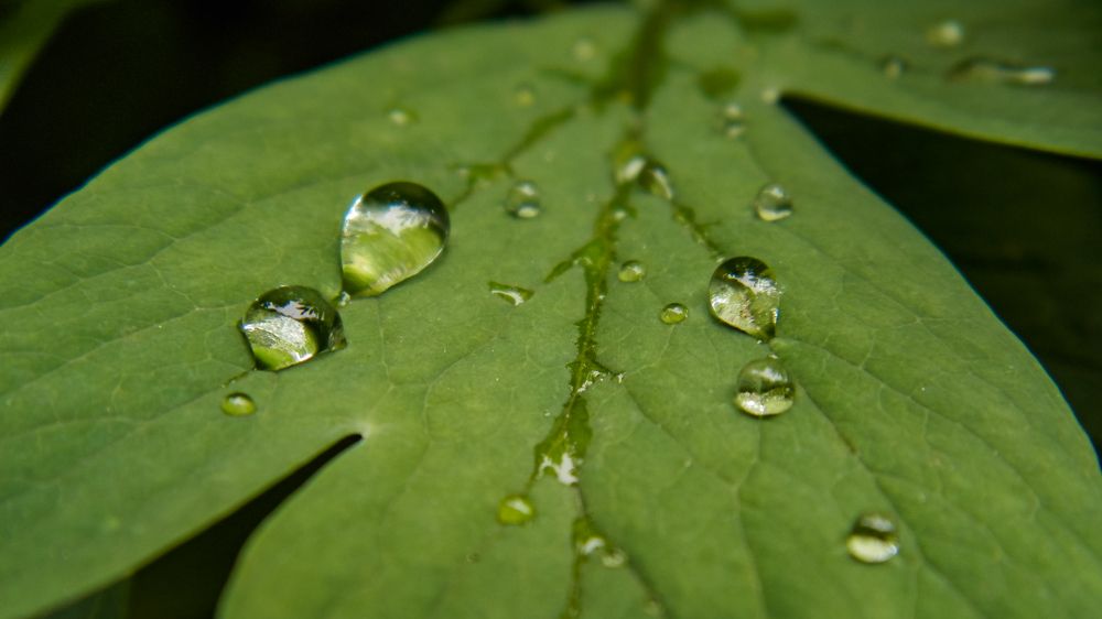 Photograph by Виктор Сёмушкин