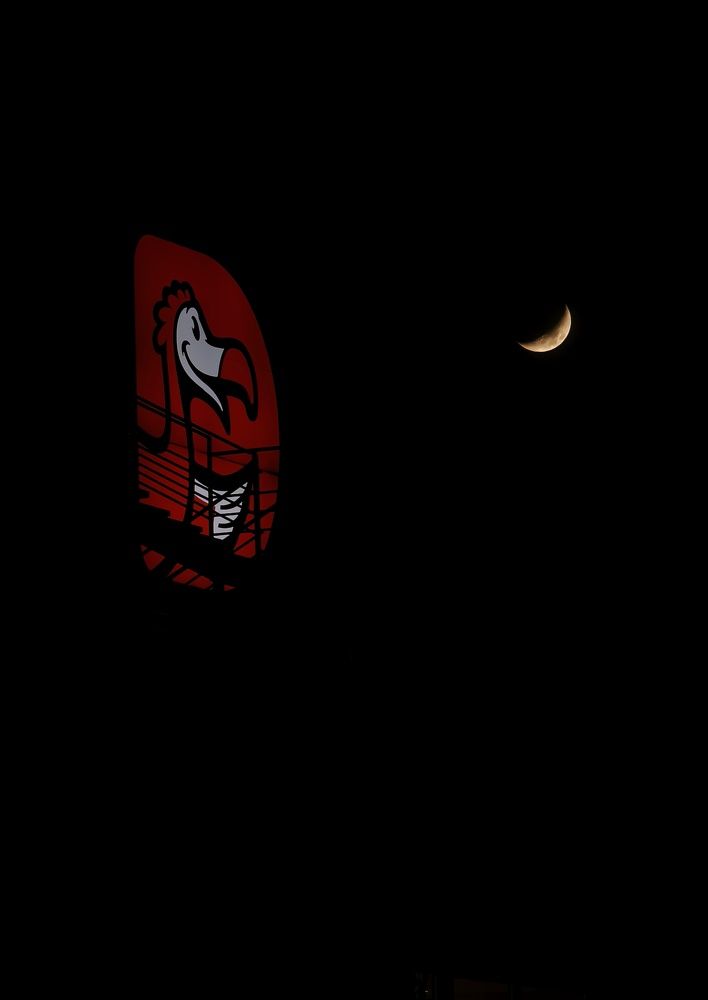 Photograph by Михаил Саидов