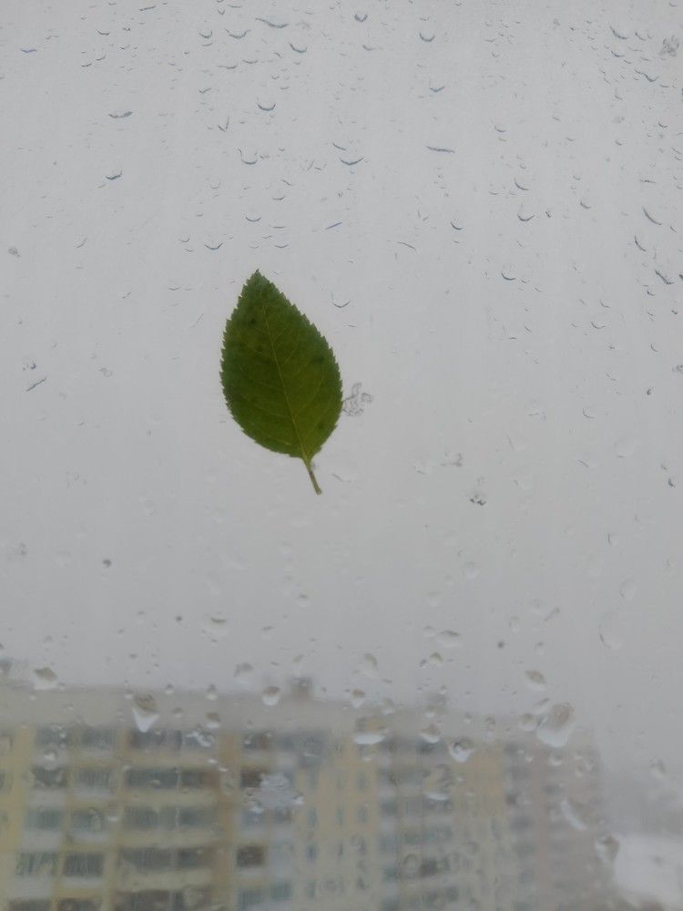 Photograph by Людмила Баглей