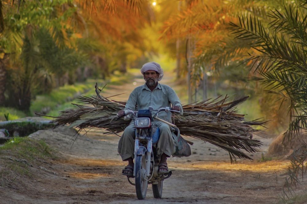 Photograph by Meer Dost Rahim