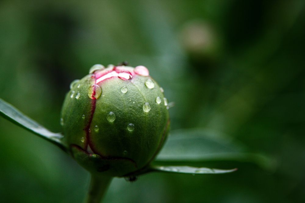 Photograph by Екатерина Брехова