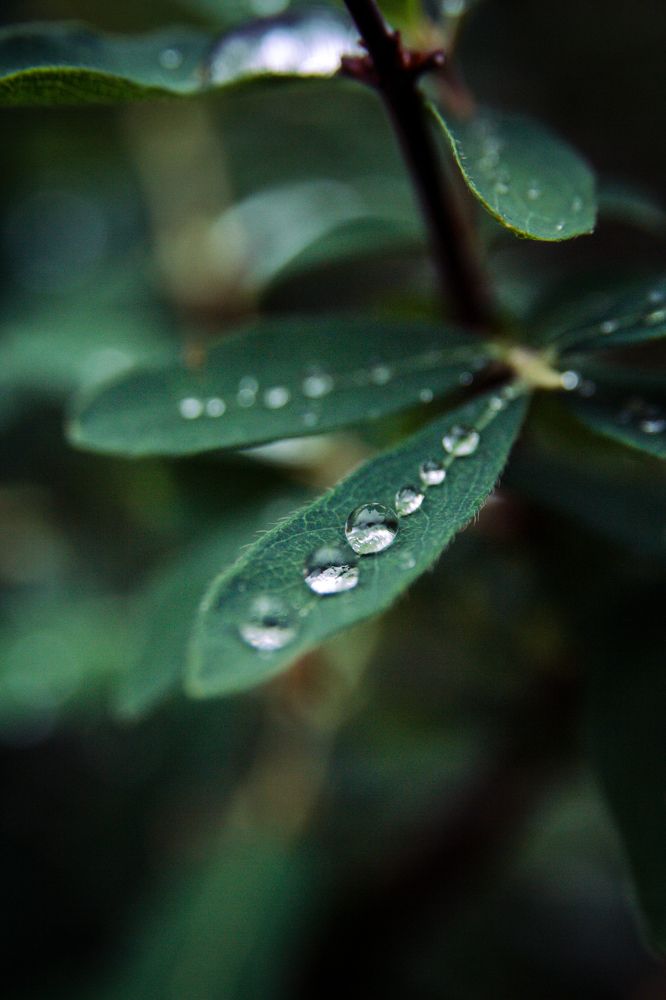 Photograph by Екатерина Брехова