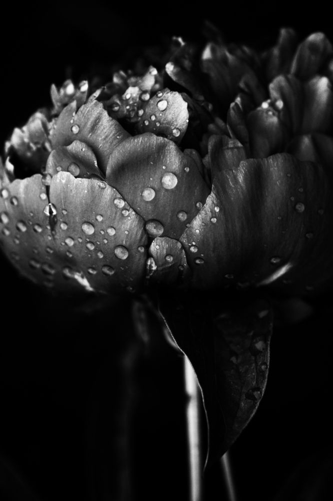 Photograph by Екатерина Брехова