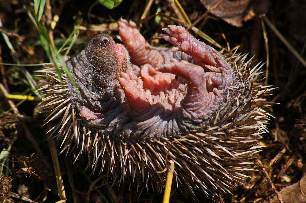 Photograph by Анатолий Святой