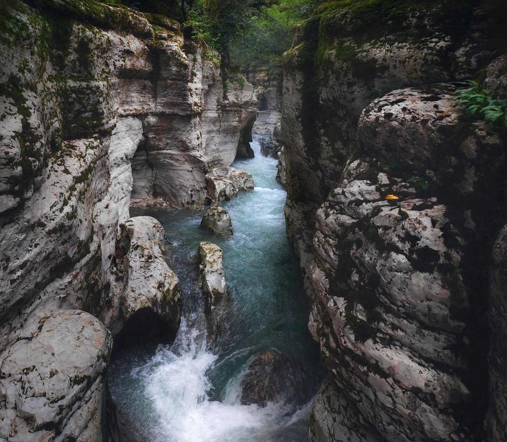 Фотография автора Алексей Бордуков