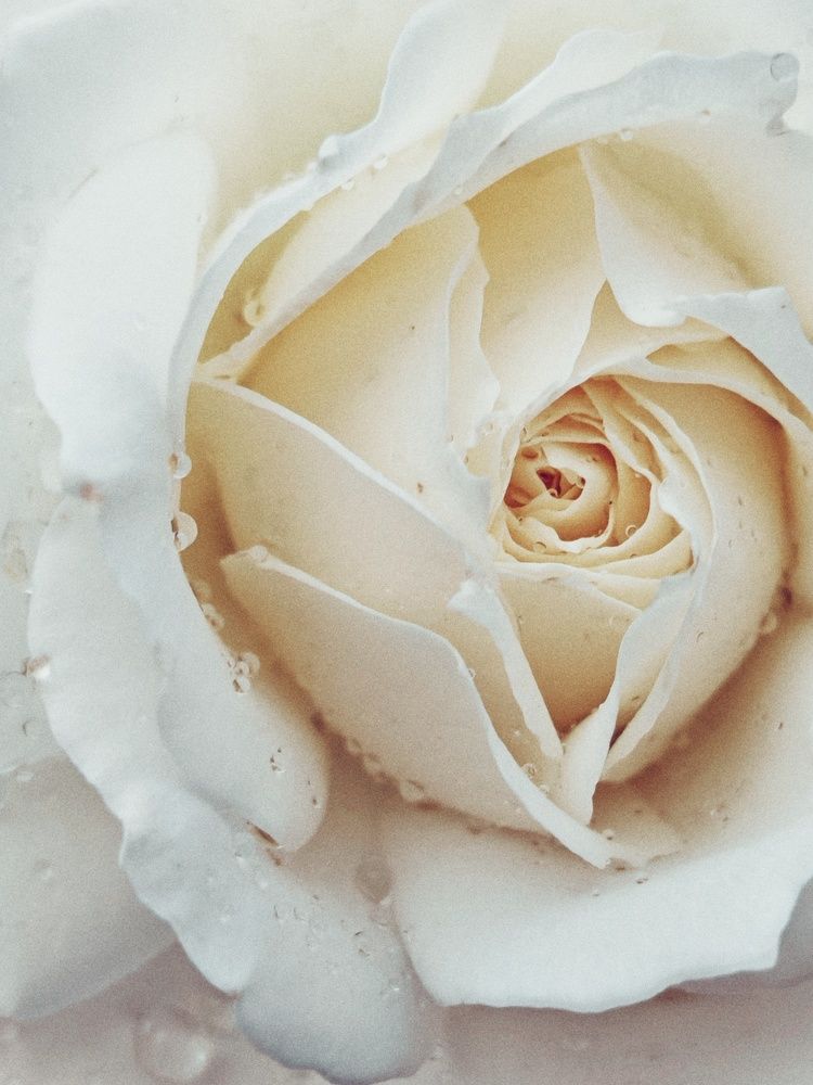 Photograph by Nastassia Krychautsova